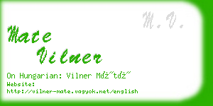 mate vilner business card